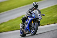 Oulton-Park-14th-March-2020;PJ-Motorsport-Photography-2020;anglesey;brands-hatch;cadwell-park;croft;donington-park;enduro-digital-images;event-digital-images;eventdigitalimages;mallory;no-limits;oulton-park;peter-wileman-photography;racing-digital-images;silverstone;snetterton;trackday-digital-images;trackday-photos;vmcc-banbury-run;welsh-2-day-enduro